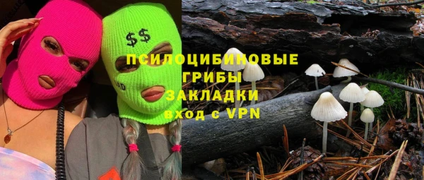 гашик Абдулино