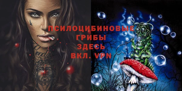 гашик Абдулино