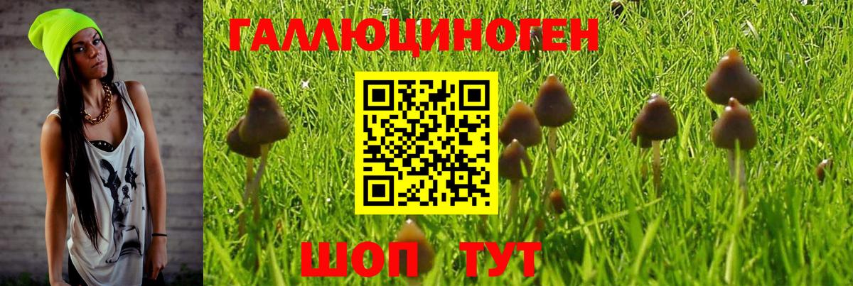 Галлюциногенные грибы Magic Shrooms Барнаул