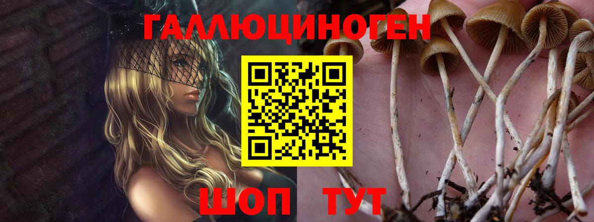 Барнаул  Псилоцибиновые грибы мухоморы  Вход с VPN 